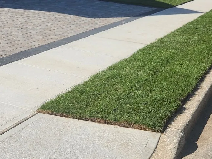 A fresh sod strip with a crisp, clean-edged lawn line along the sidewalk