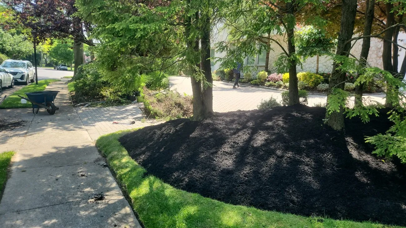 Fresh dark mulch installed in garden beds beneath mature trees