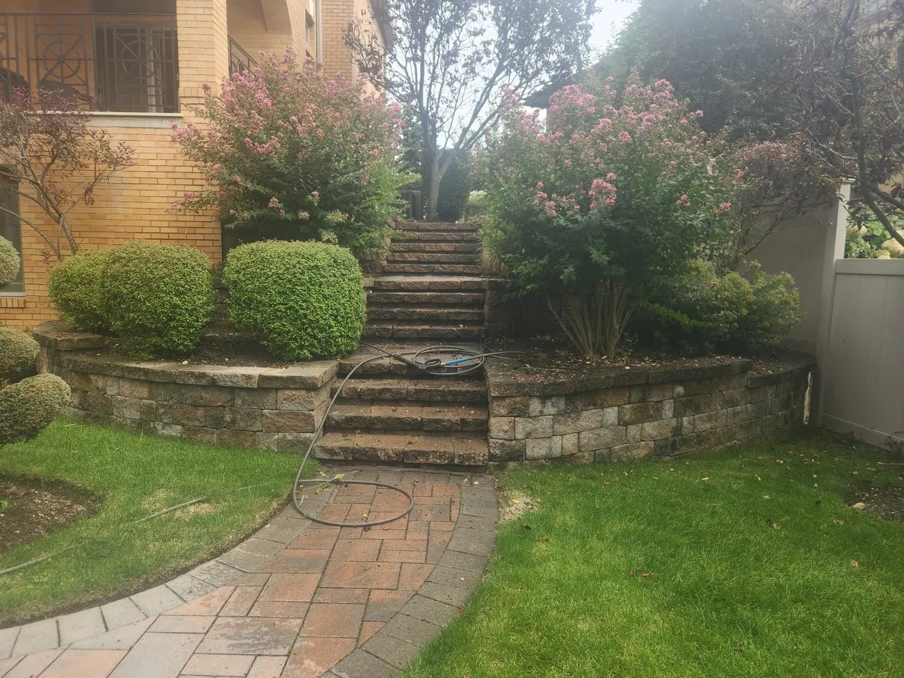 Shaped shrubs and flowering plants framing the front steps of a Long Island home